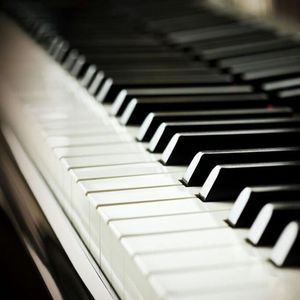 美女黑丝裸腿搞鸡巴
