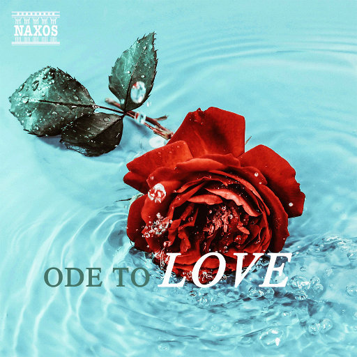 美女黑丝裸腿搞鸡巴
